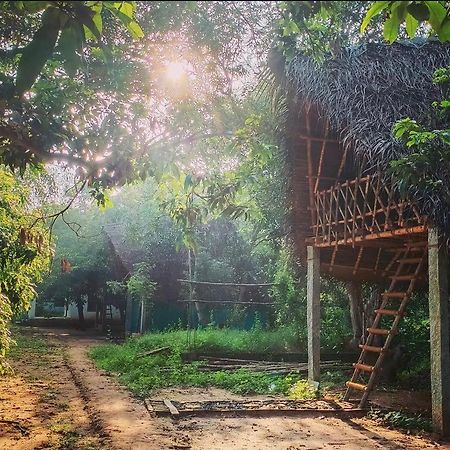 Art Forest ปอนดิเชอรี ภายนอก รูปภาพ
