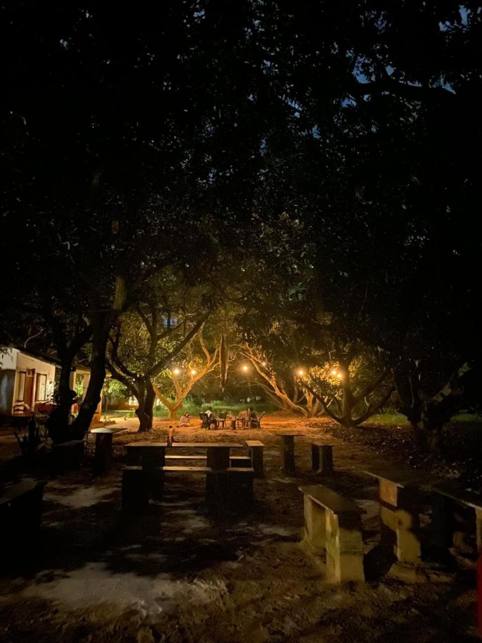 Art Forest ปอนดิเชอรี ภายนอก รูปภาพ