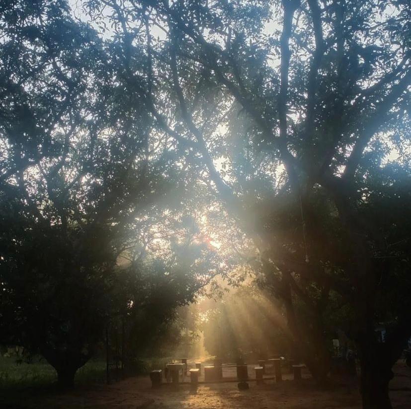 Art Forest ปอนดิเชอรี ภายนอก รูปภาพ