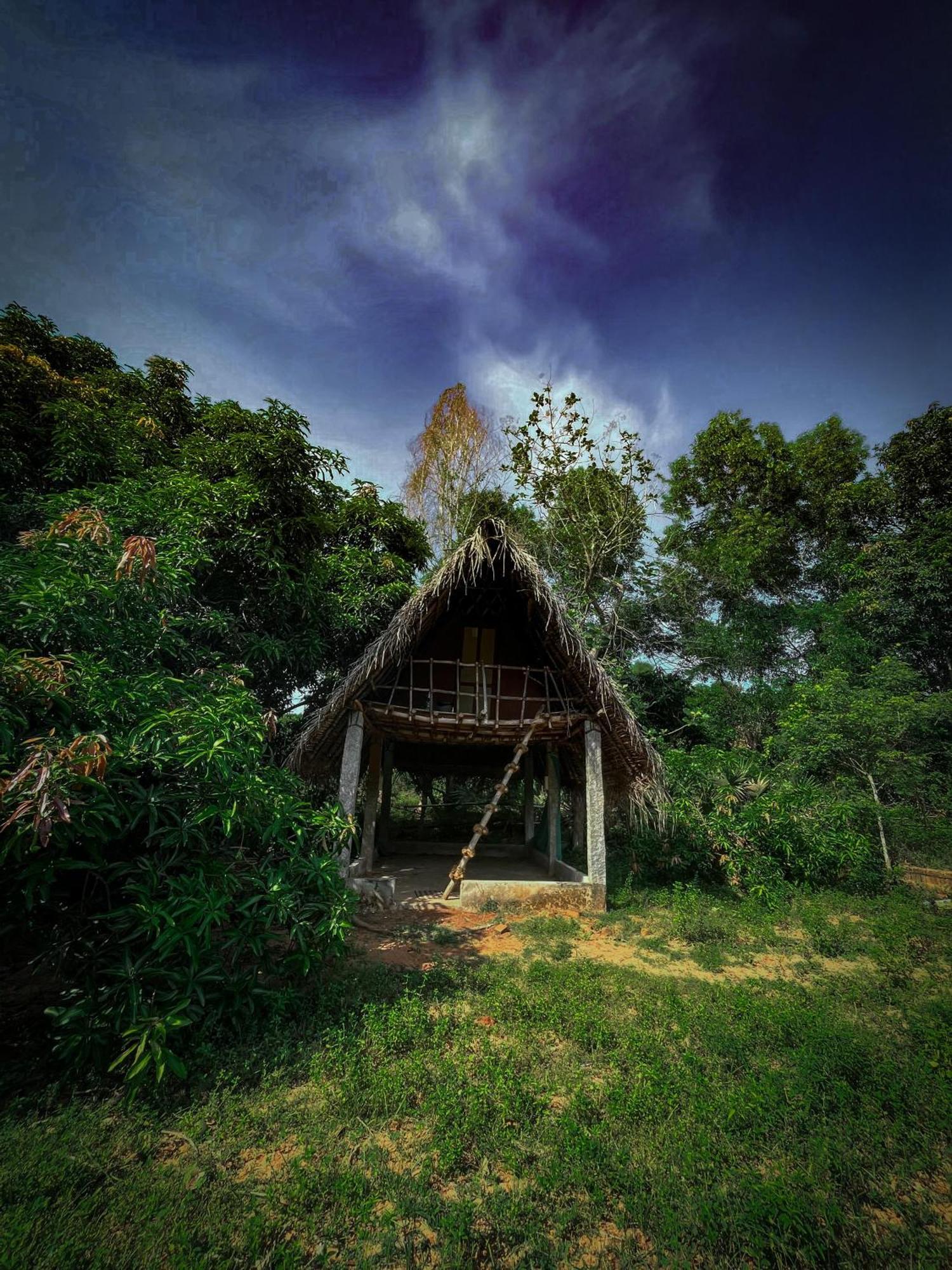 Art Forest ปอนดิเชอรี ภายนอก รูปภาพ