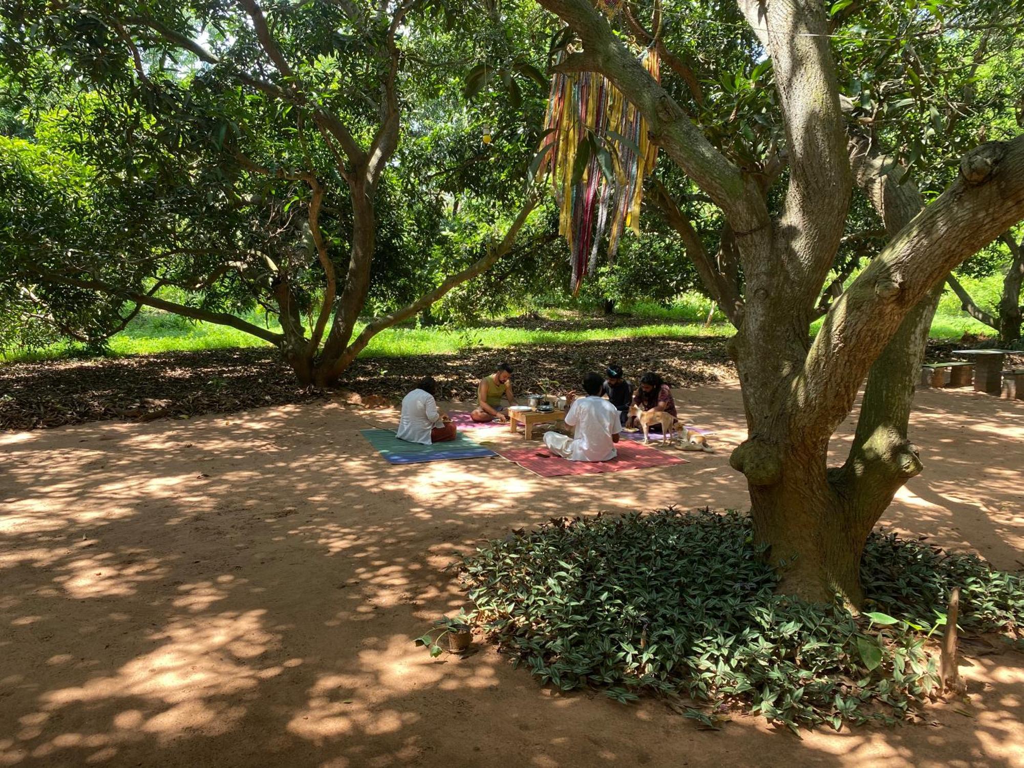 Art Forest ปอนดิเชอรี ภายนอก รูปภาพ