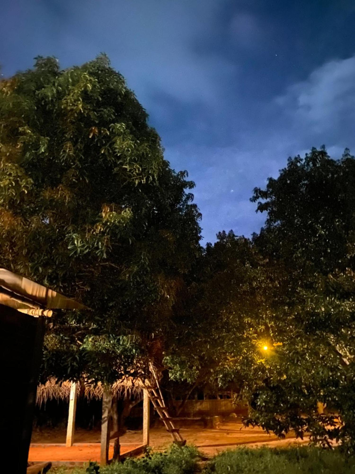 Art Forest ปอนดิเชอรี ภายนอก รูปภาพ
